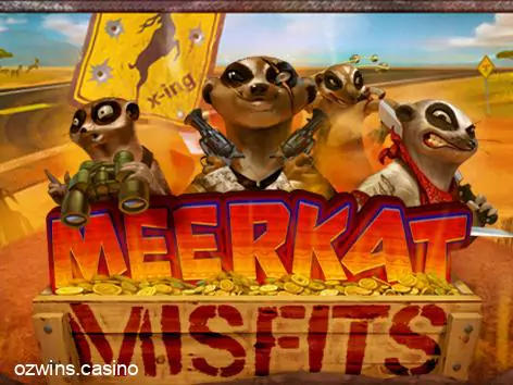 Meerkat Misfits